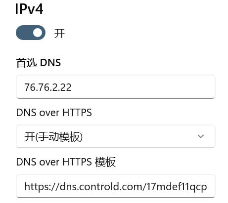 Windows11设置DoH